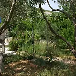 Apartamento By The Sea Vrgada, Biograd - 4206